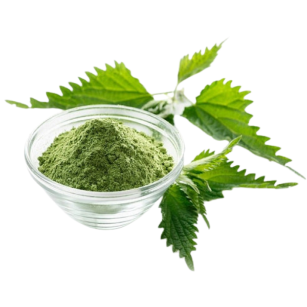 Ortie piquante poudre cosmétique - بودرة الحريكة