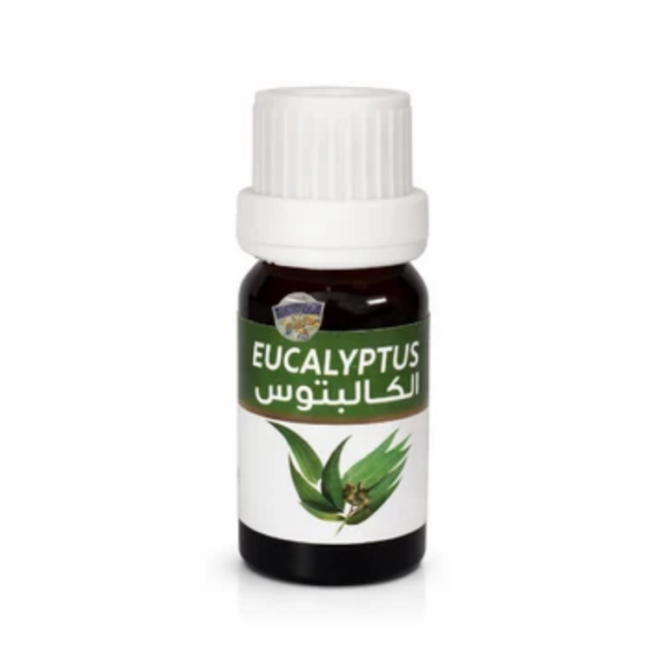Huile Essentielle d'Eucalyptus - زيت الأوكالبتوس الأساسي