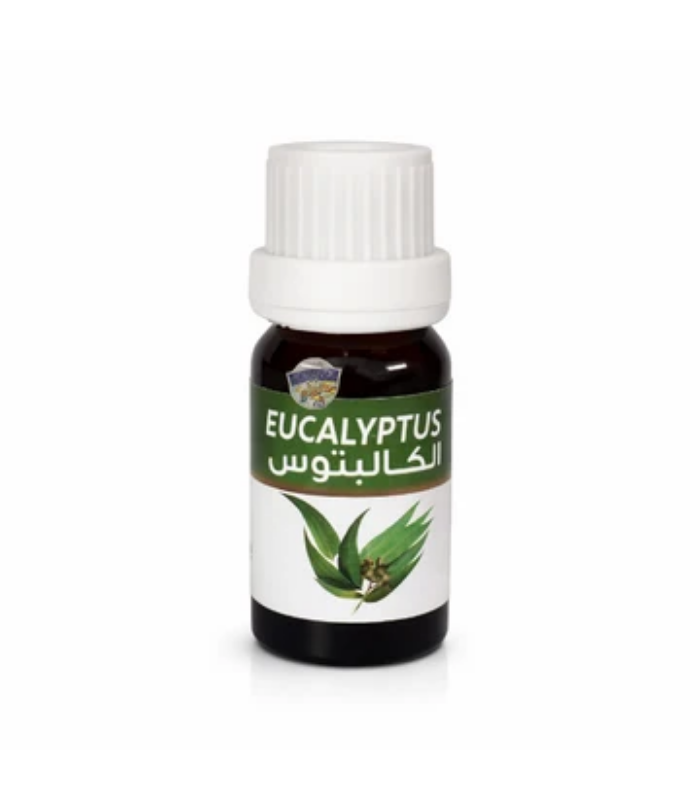 56 Huile Essentielle d'Eucalyptus - زيت الأوكالبتوس الأساسي – Image 1