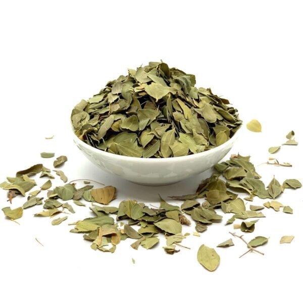 أوراق السدر -Feuilles de Sidr