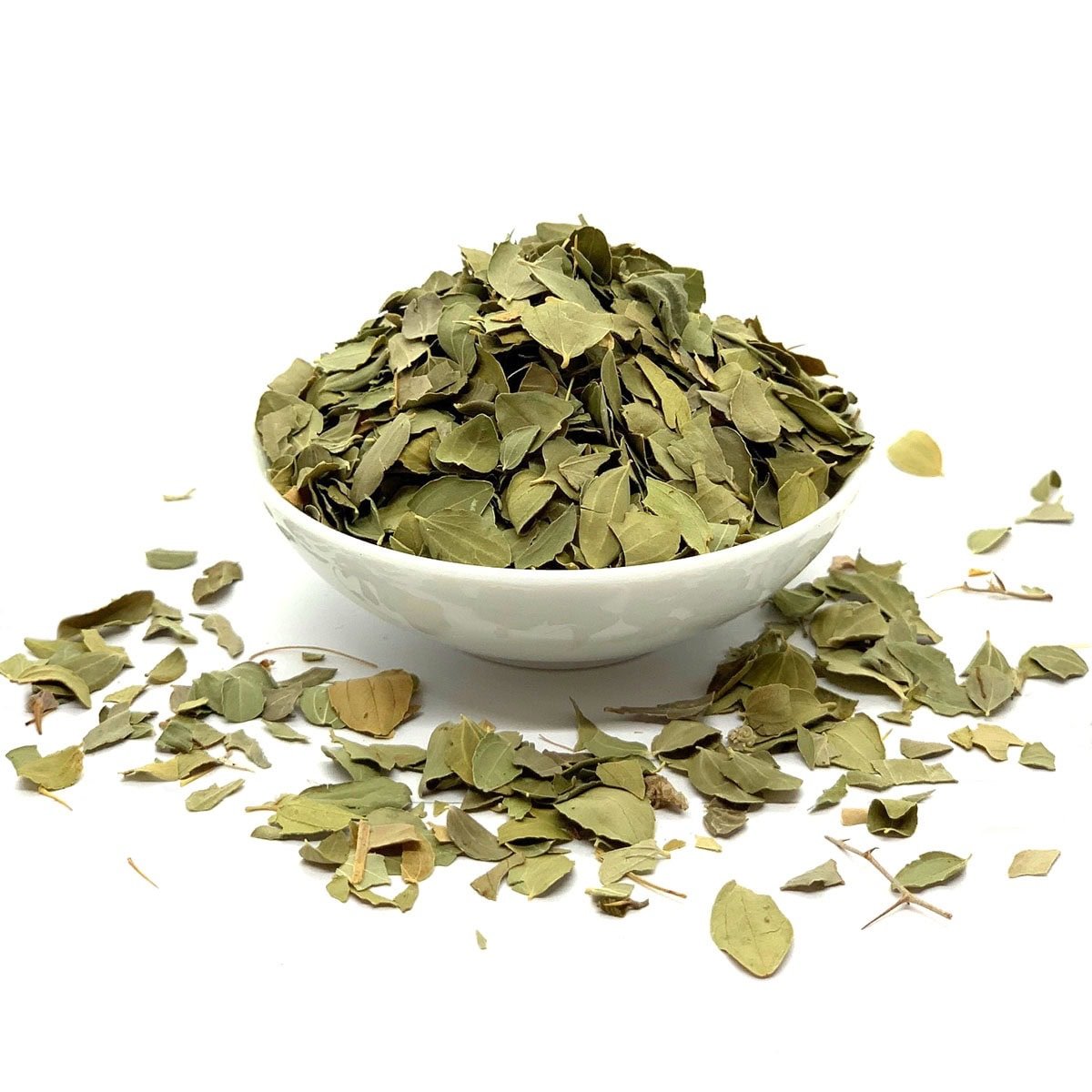 img_1096 أوراق السدر -Feuilles de Sidr – Image 1