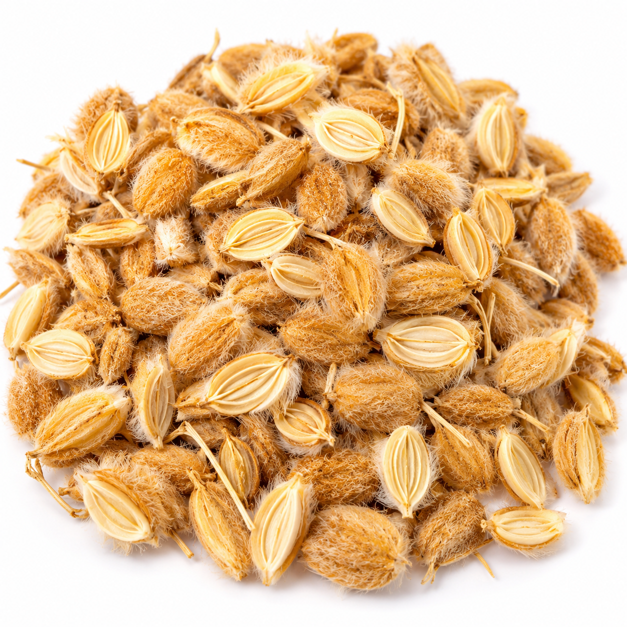 c60a37c8-bb59-405c-8caa-a26d0d2ad891 كمون الصوفي -Cumin soufi – Image 1